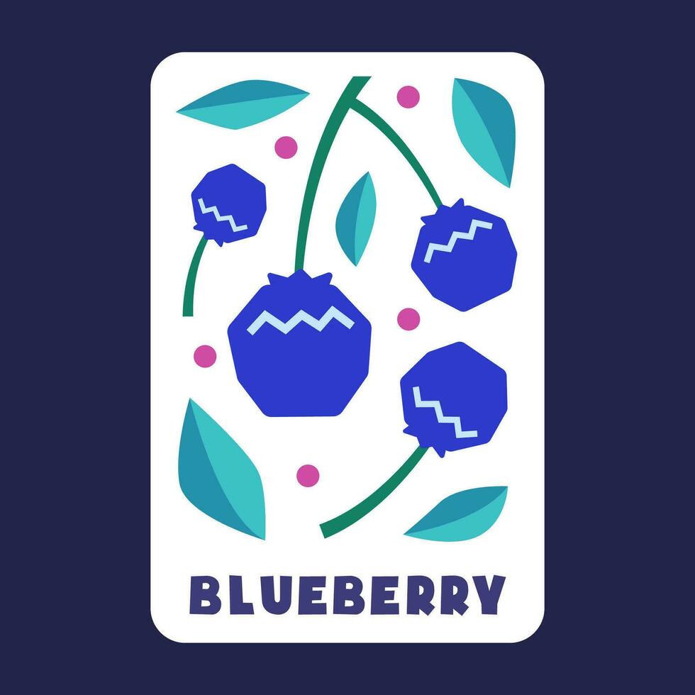 Blueberry fruit draw of vector illustration premium collection