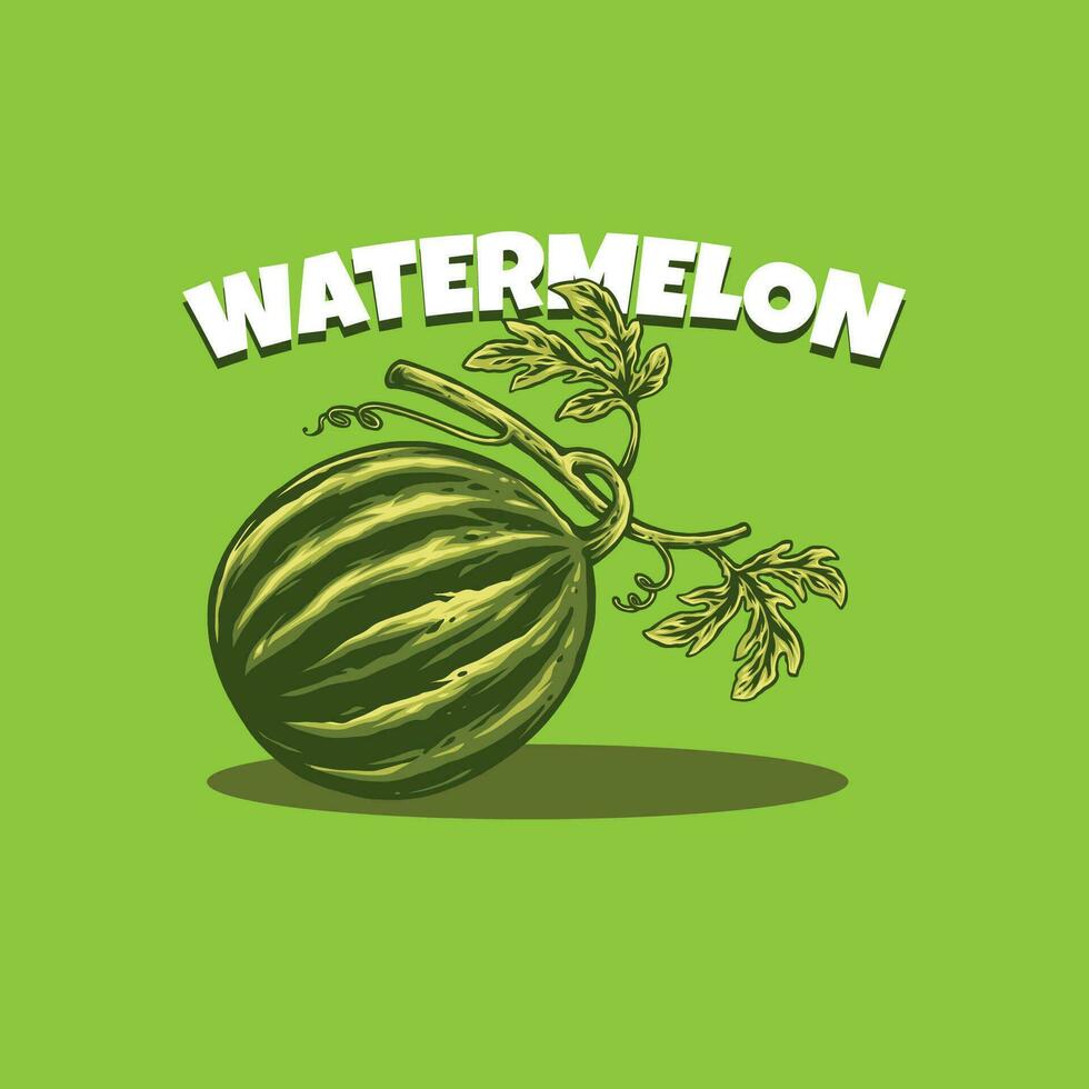 vector illustration of watermelon fruit premium