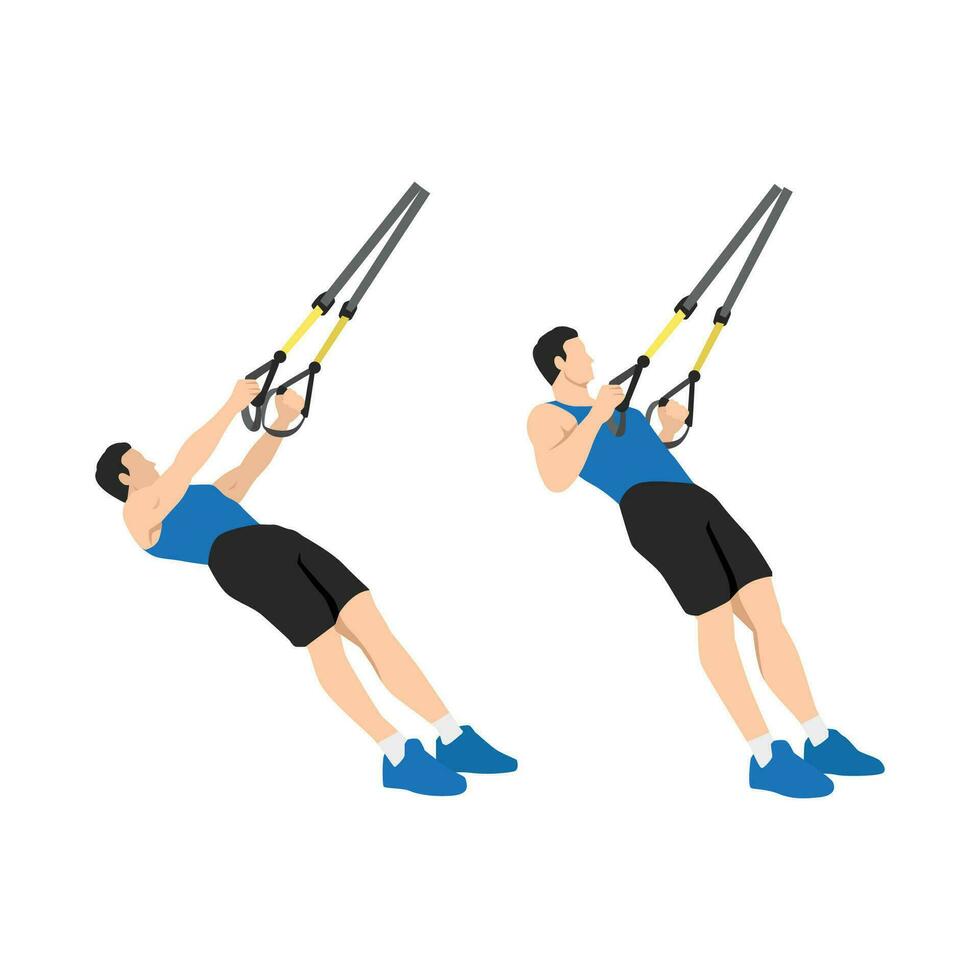 hombre haciendo trx suspensión Correa filas ejercicio. plano vector ilustración aislado en blanco antecedentes