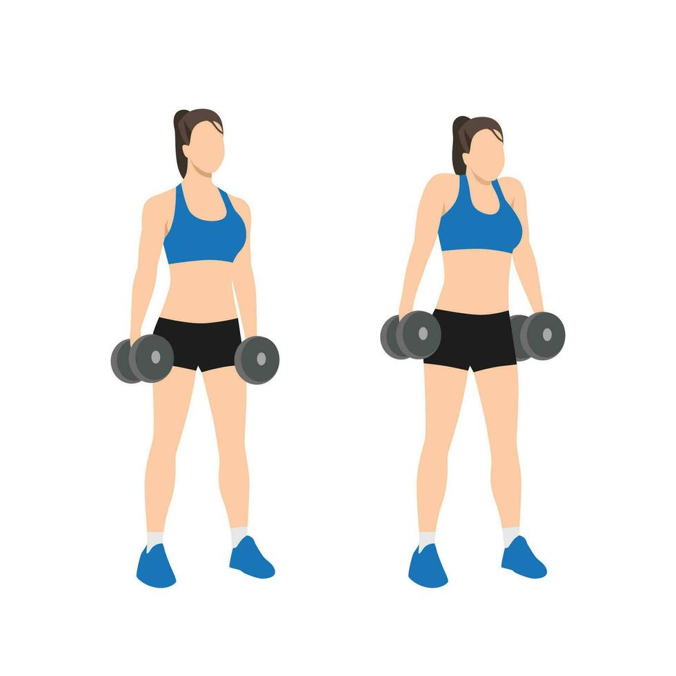 Woman doing Dumbbell shrugs exercise. Flat vector illustration isolated on white background