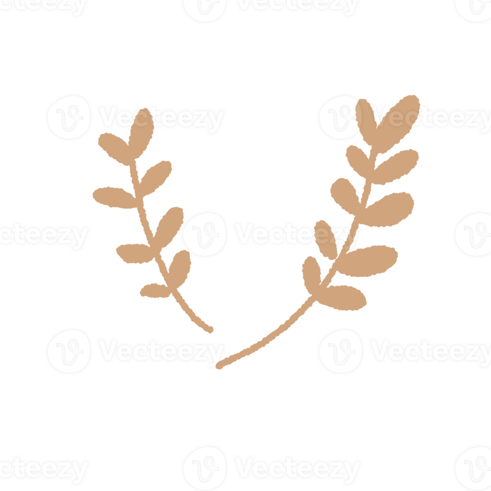 brown leaf tree plant minimal pastel png