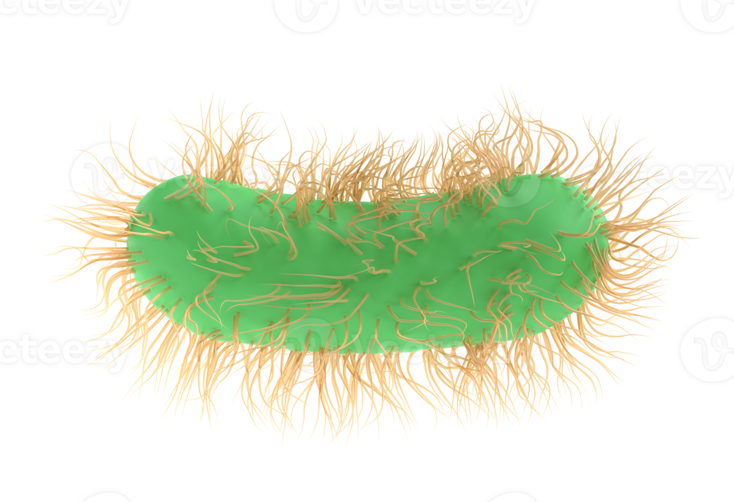 3d render illustration Escherichia Coli of Pathogenic bacterium