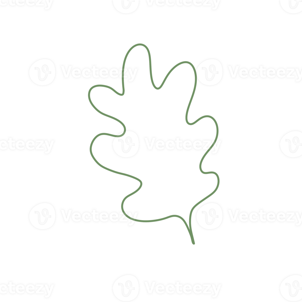 hand drawn abstract leaf  doodles, squiggle and swirl lines png