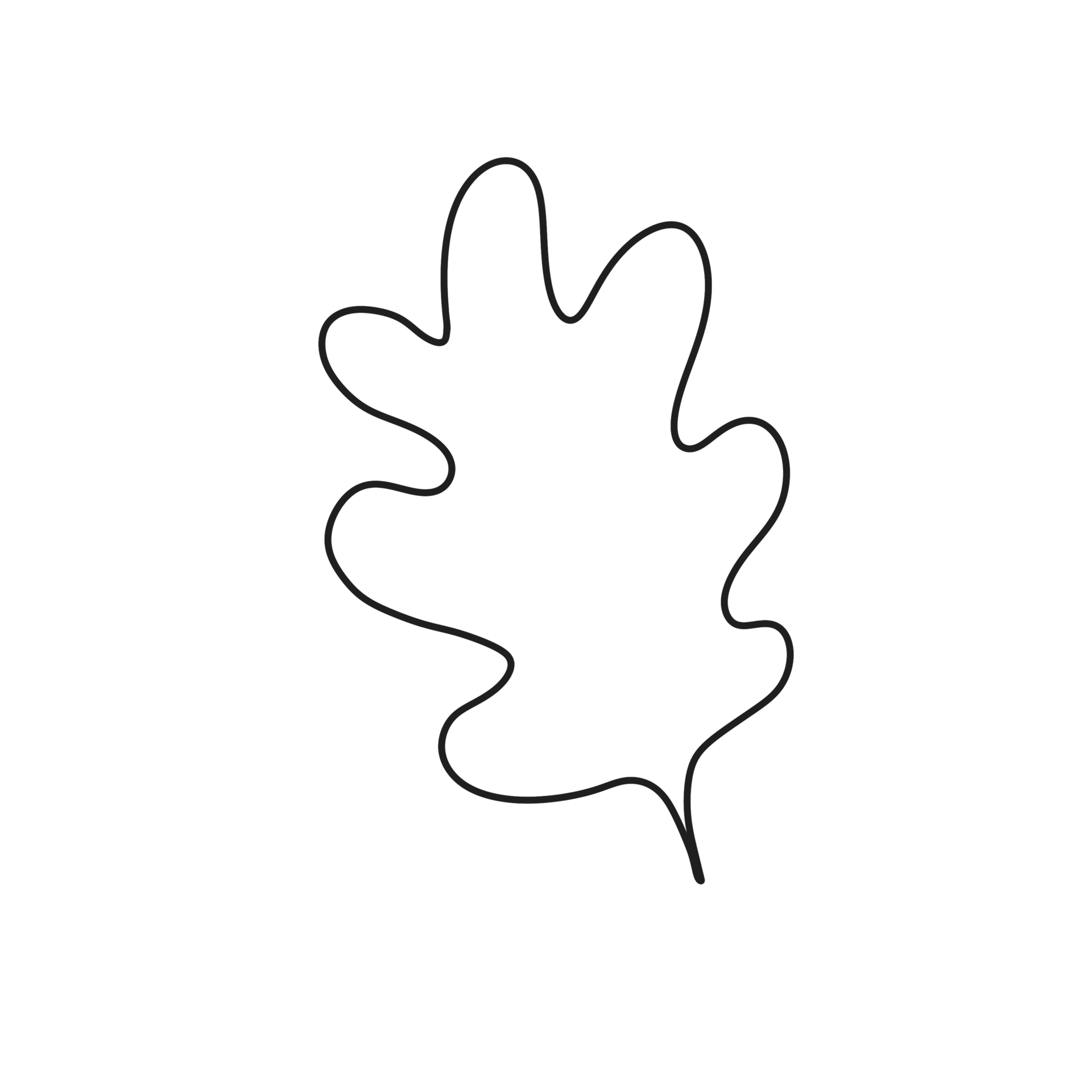 hand drawn abstract leaf doodles, squiggle and swirl lines 27208282 PNG