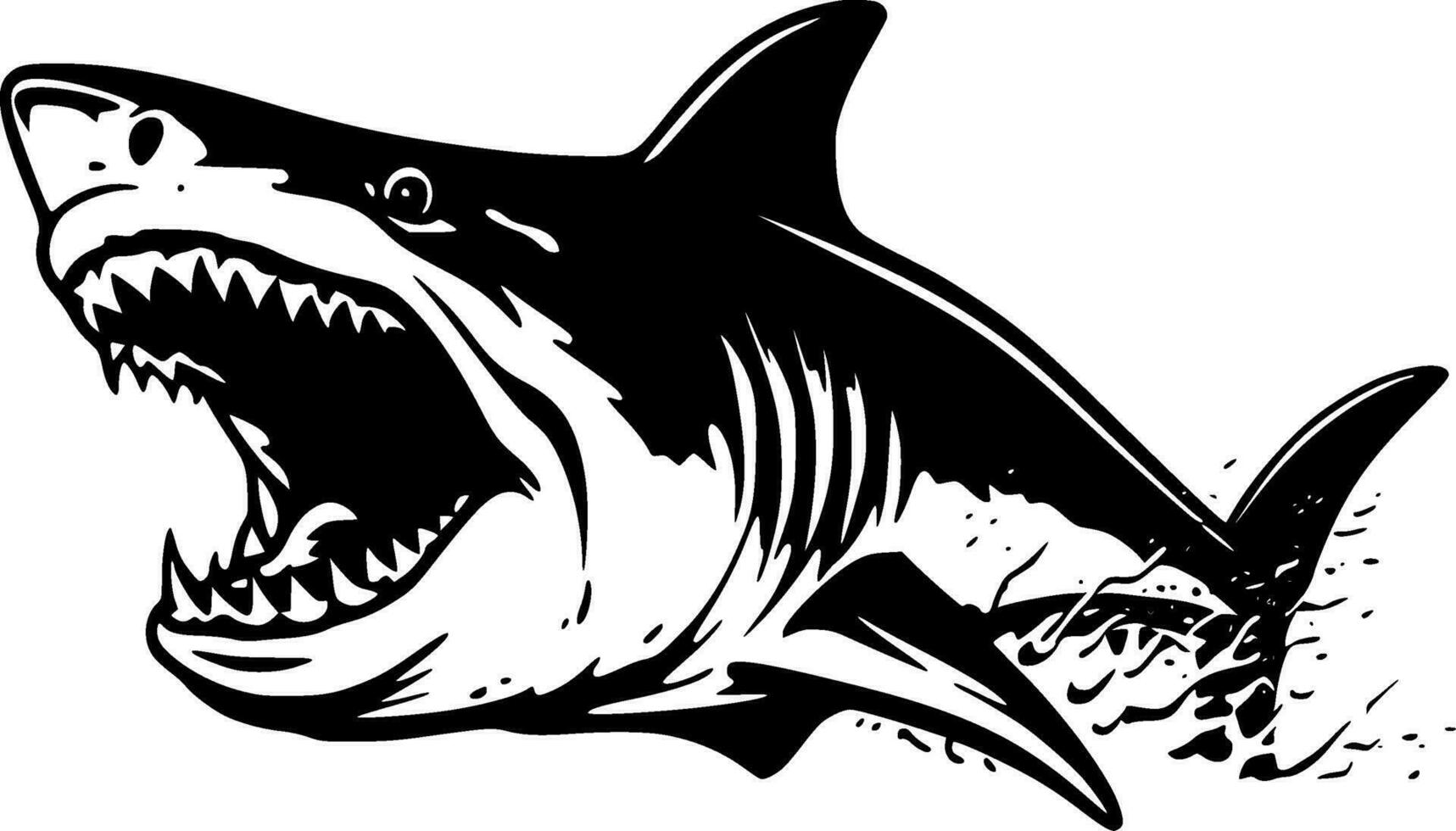 Shark, Black and White Vector illustration