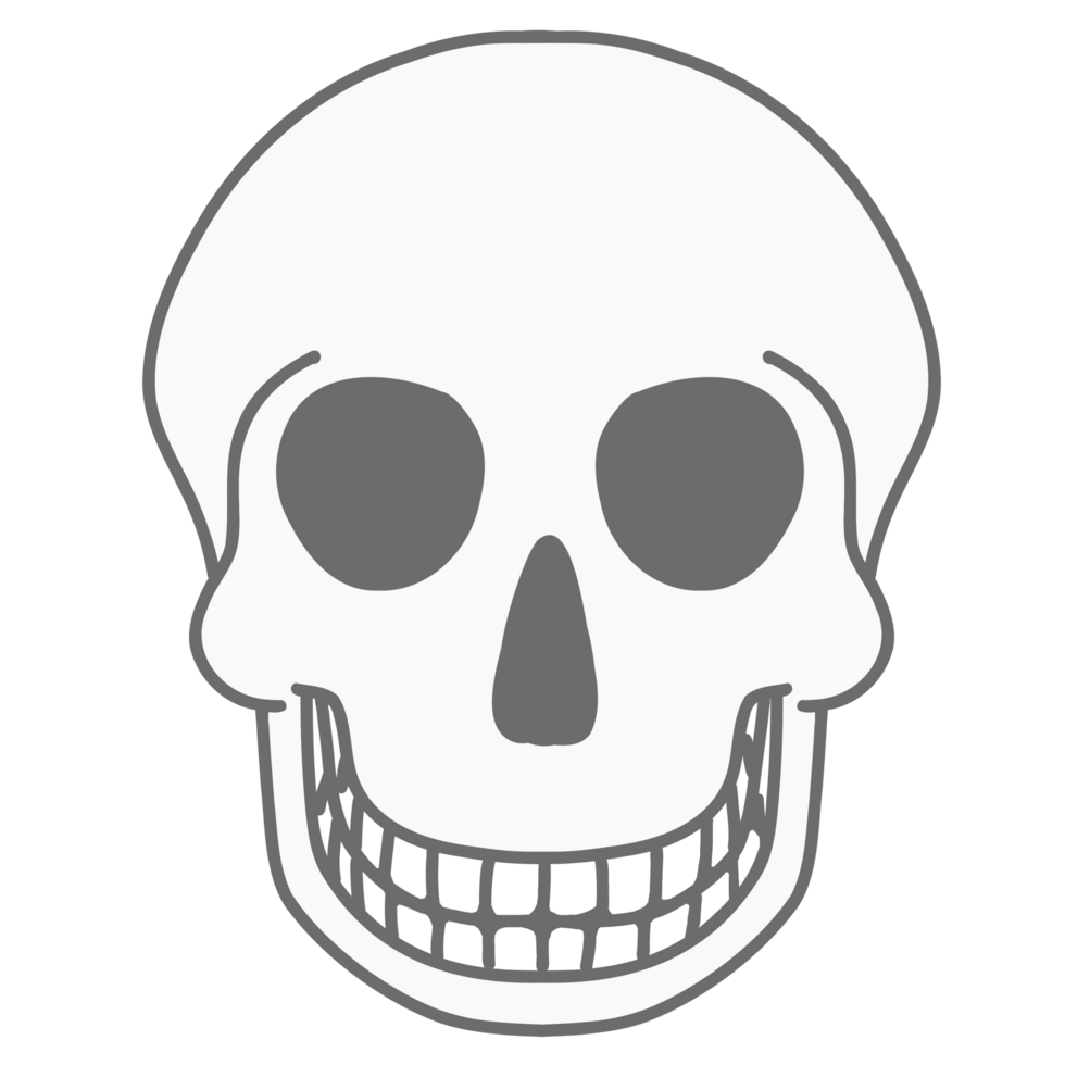 Halloween smiling human skull, grinning skull png