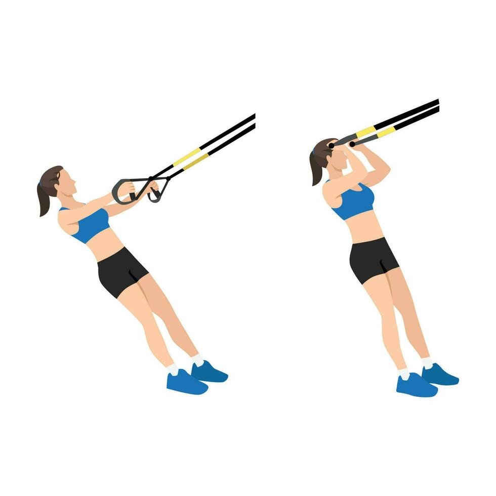Woman doing TRX Suspension strap bicep curls exercise. Flat vector illustration isolated on white background