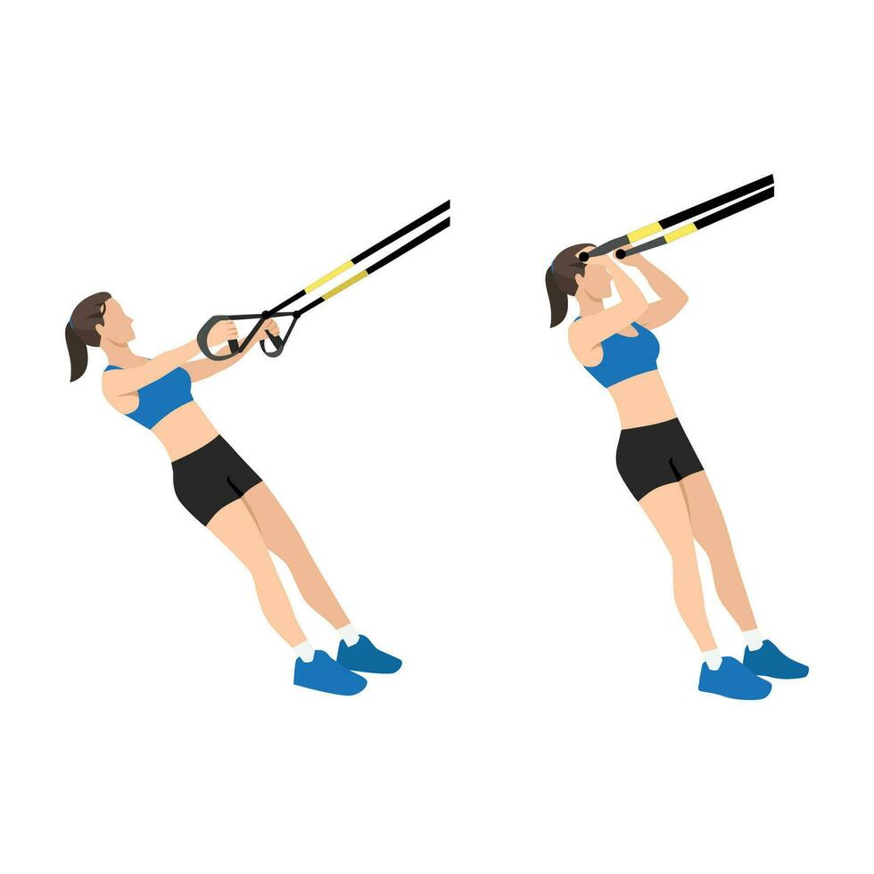 mujer haciendo trx suspensión Correa bíceps chinos ejercicio. plano vector ilustración aislado en blanco antecedentes