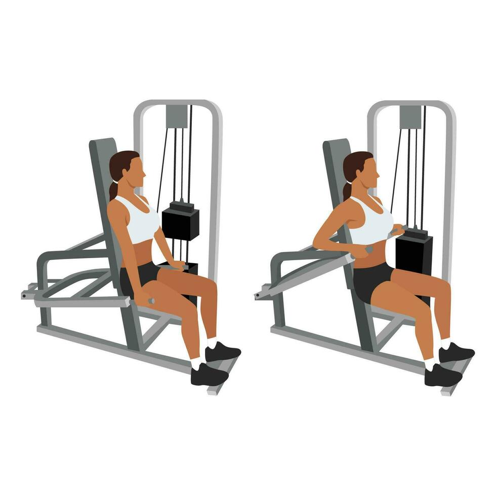 Woman doing Assisted Machine seated tricep dips exercise. Flat vector illustration isolated on white background