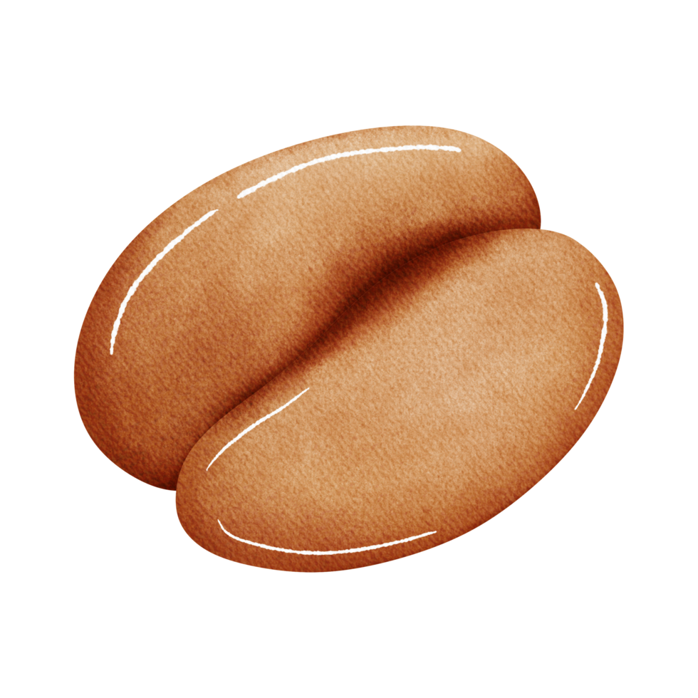 Coffee beans on a transparent background png