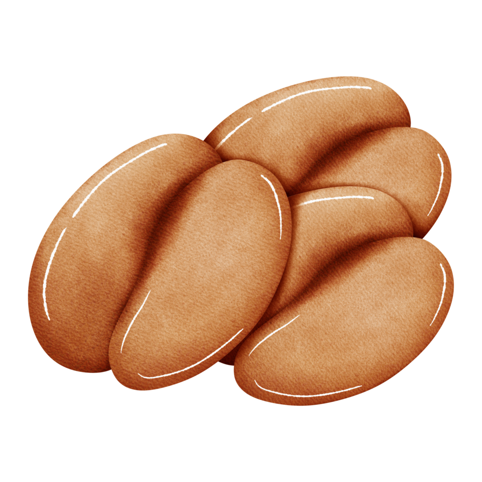 Coffee beans on a transparent background png