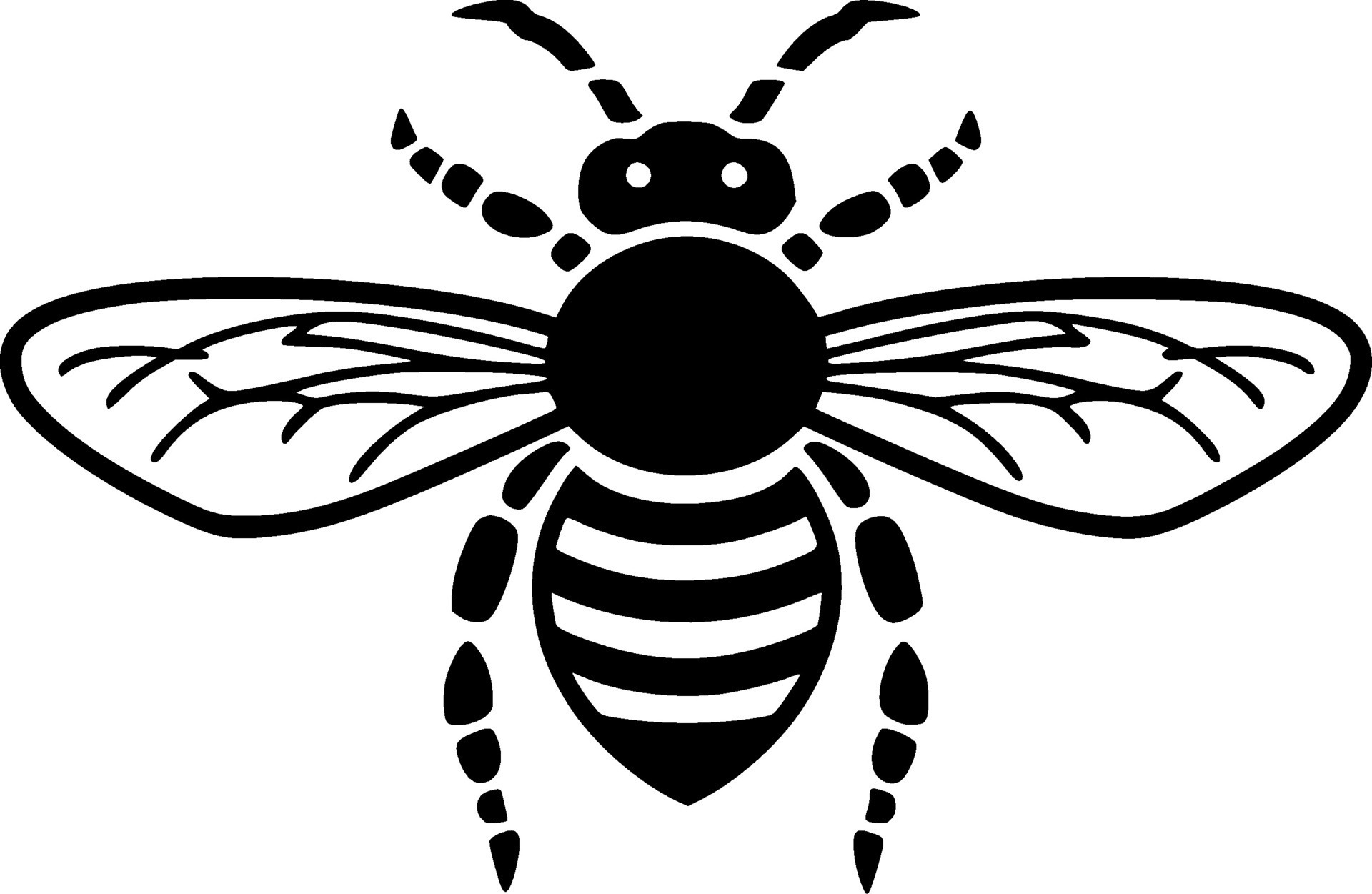 Bee, Black and White Vector illustration 27209862 Vector Art at Vecteezy