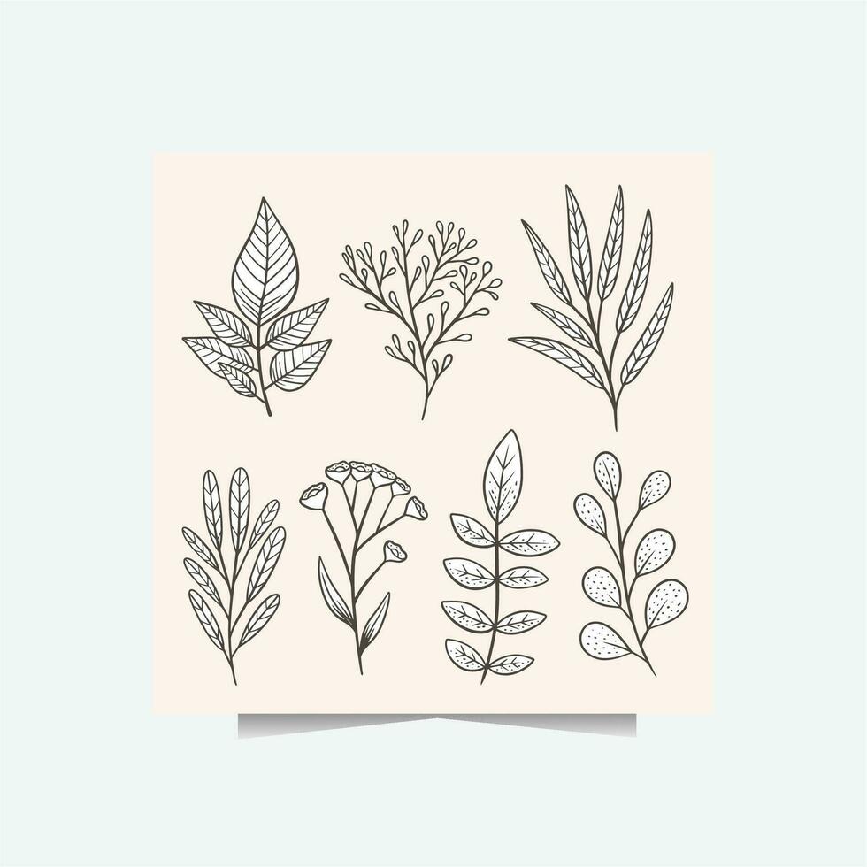 Beauty of Hand Drawn Floral Elements with vintage and rustic style vector