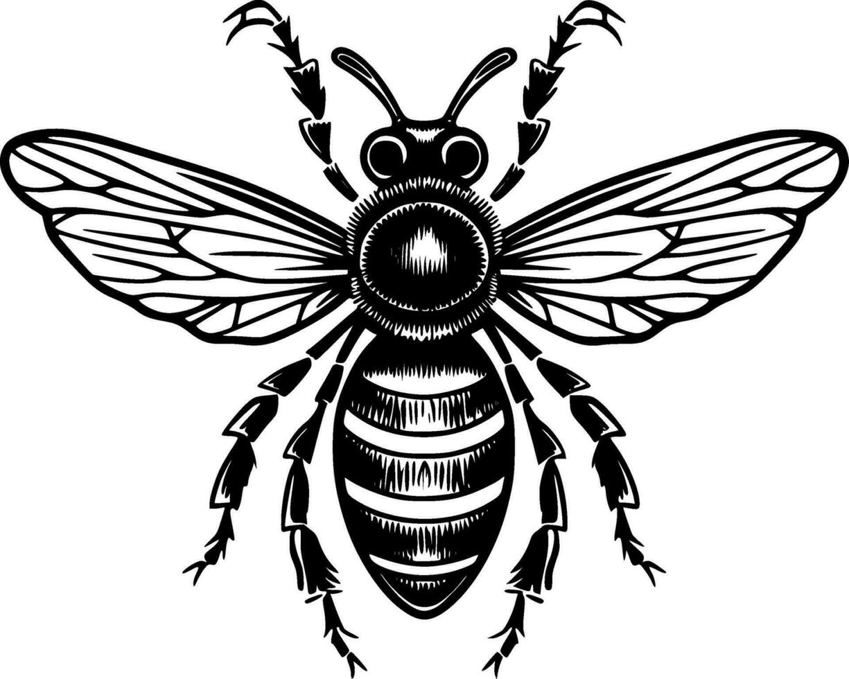 Bee, Black and White Vector illustration