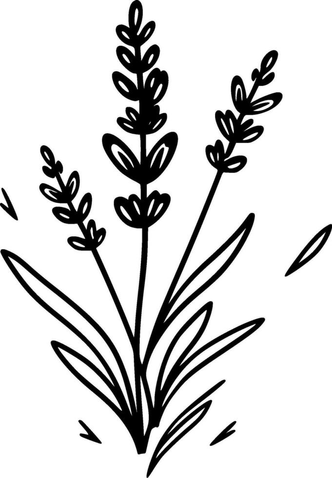 Lavender - High Quality Vector Logo - Vector illustration ideal for T-shirt graphic