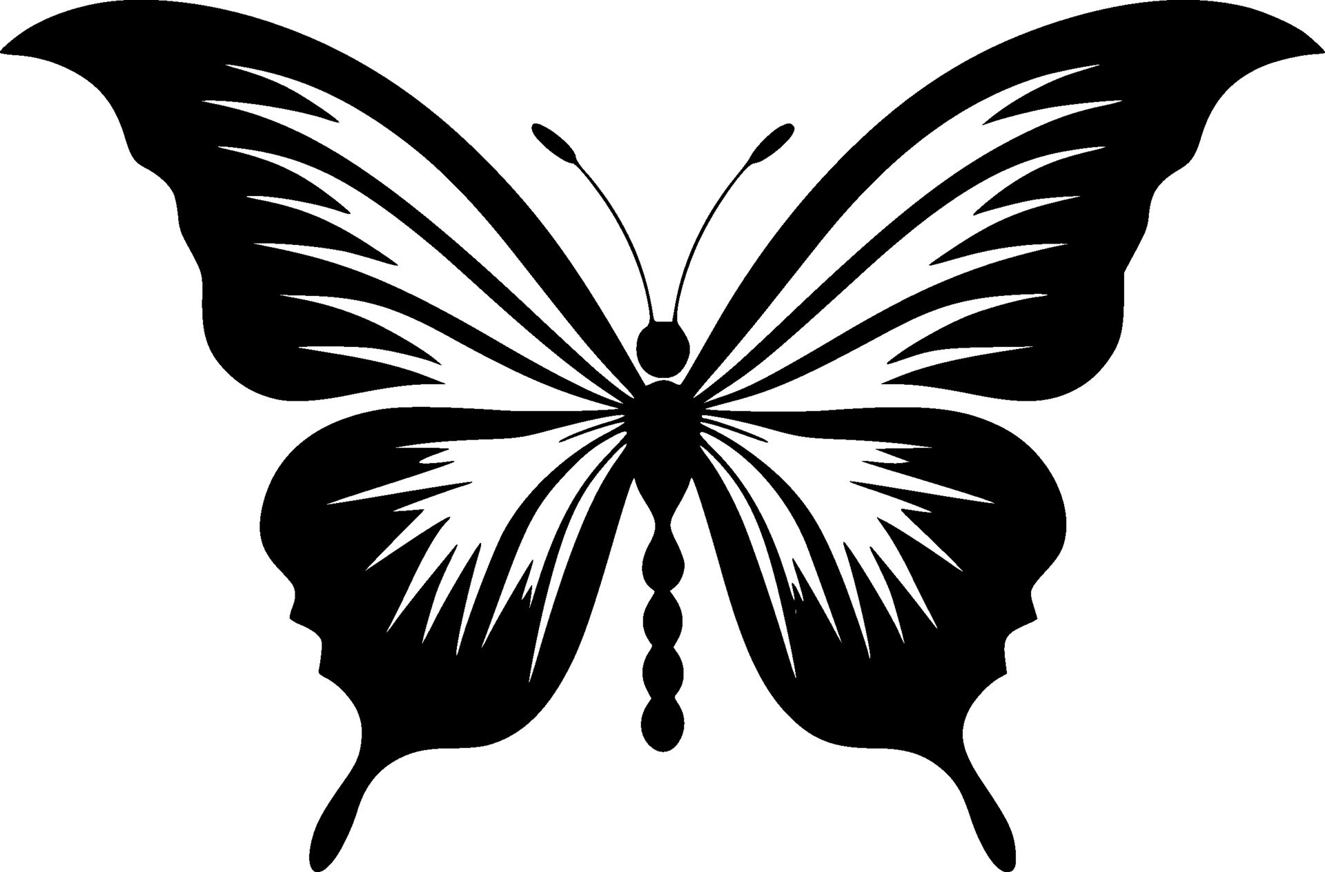Butterfly, Black and White Vector illustration 27210451 Vector Art at