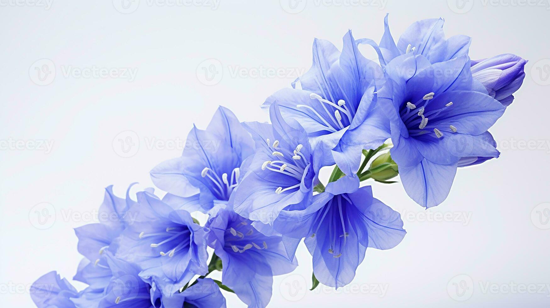 Photo of beautiful Delphinium flower isolated on white background. Generative AI