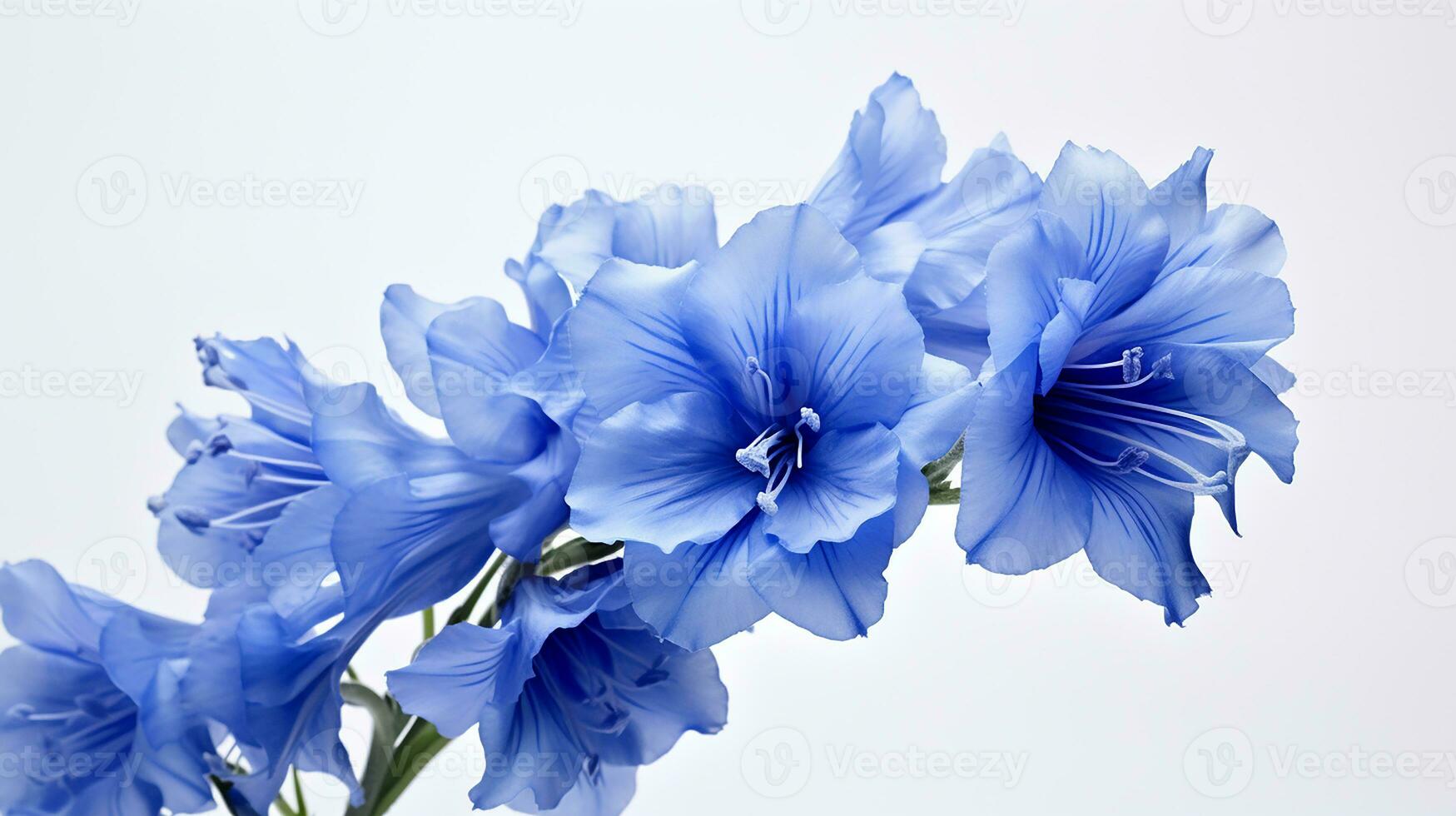 foto de hermosa espuela de caballero flor aislado en blanco antecedentes. generativo ai