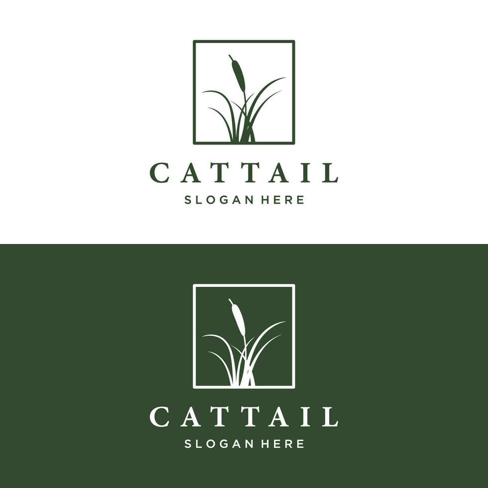 Cattails or reed river grass plant logo template design premium quality. vector