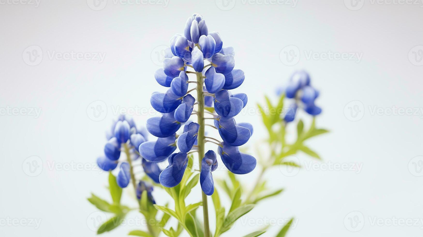 Photo of beautiful Bluebonnet flower isolated on white background. Generative AI