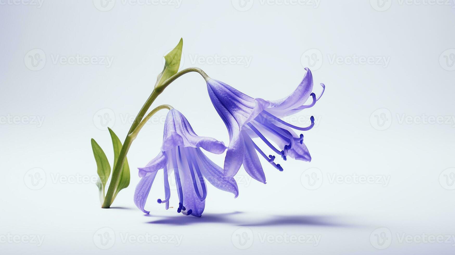 Photo of beautiful Bluebell flower isolated on white background. Generative AI