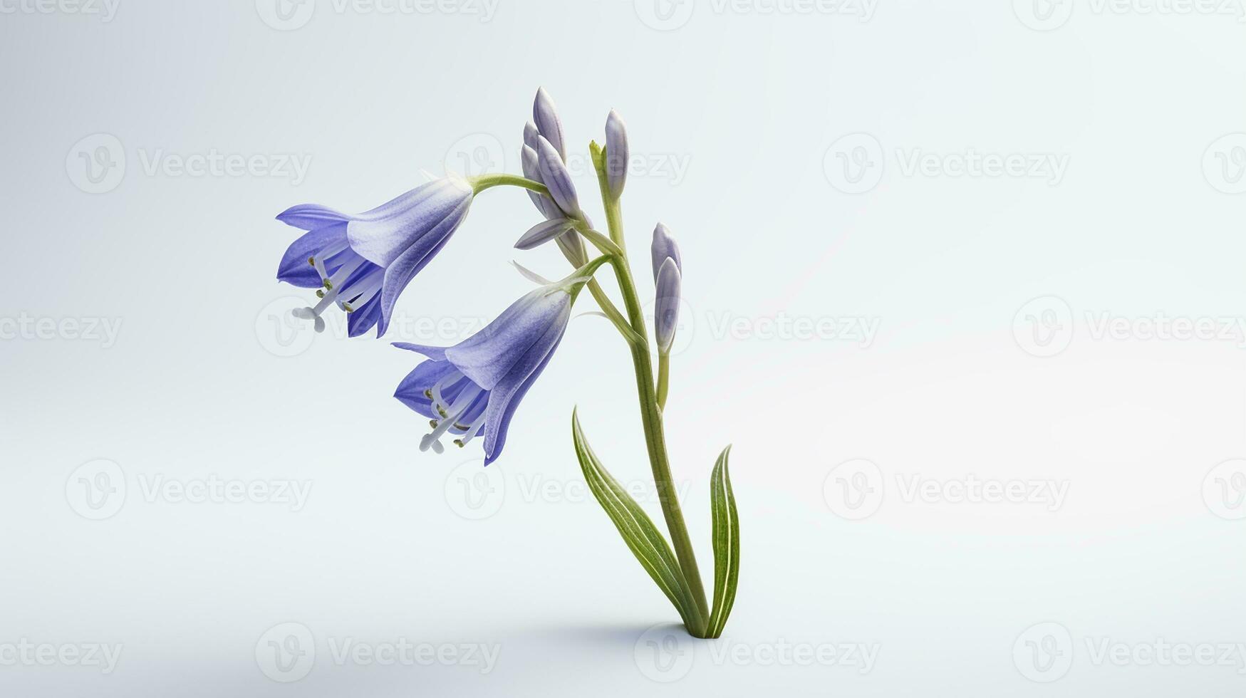 Photo of beautiful Bluebell flower isolated on white background. Generative AI