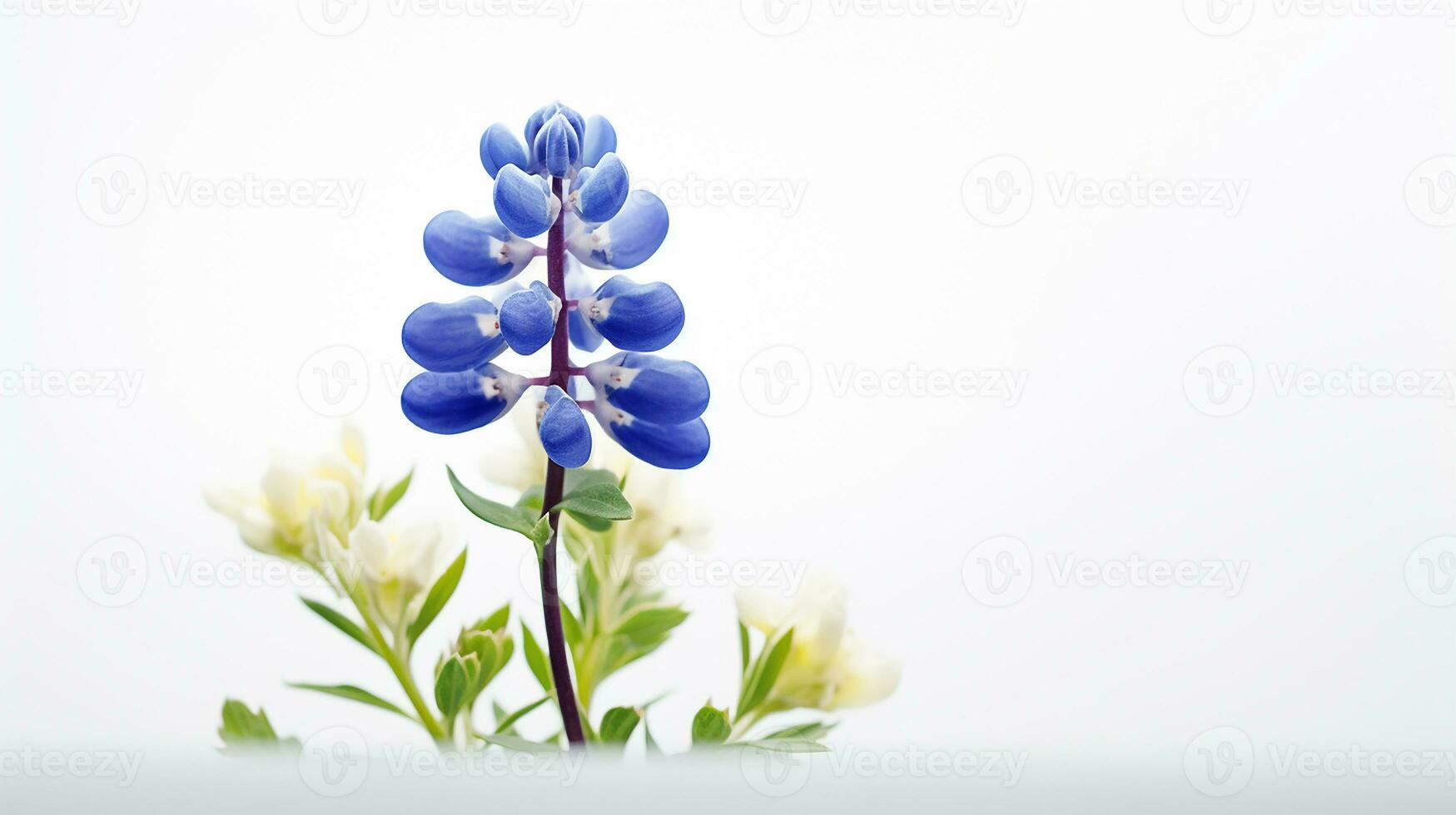 Photo of beautiful Bluebonnet flower isolated on white background. Generative AI