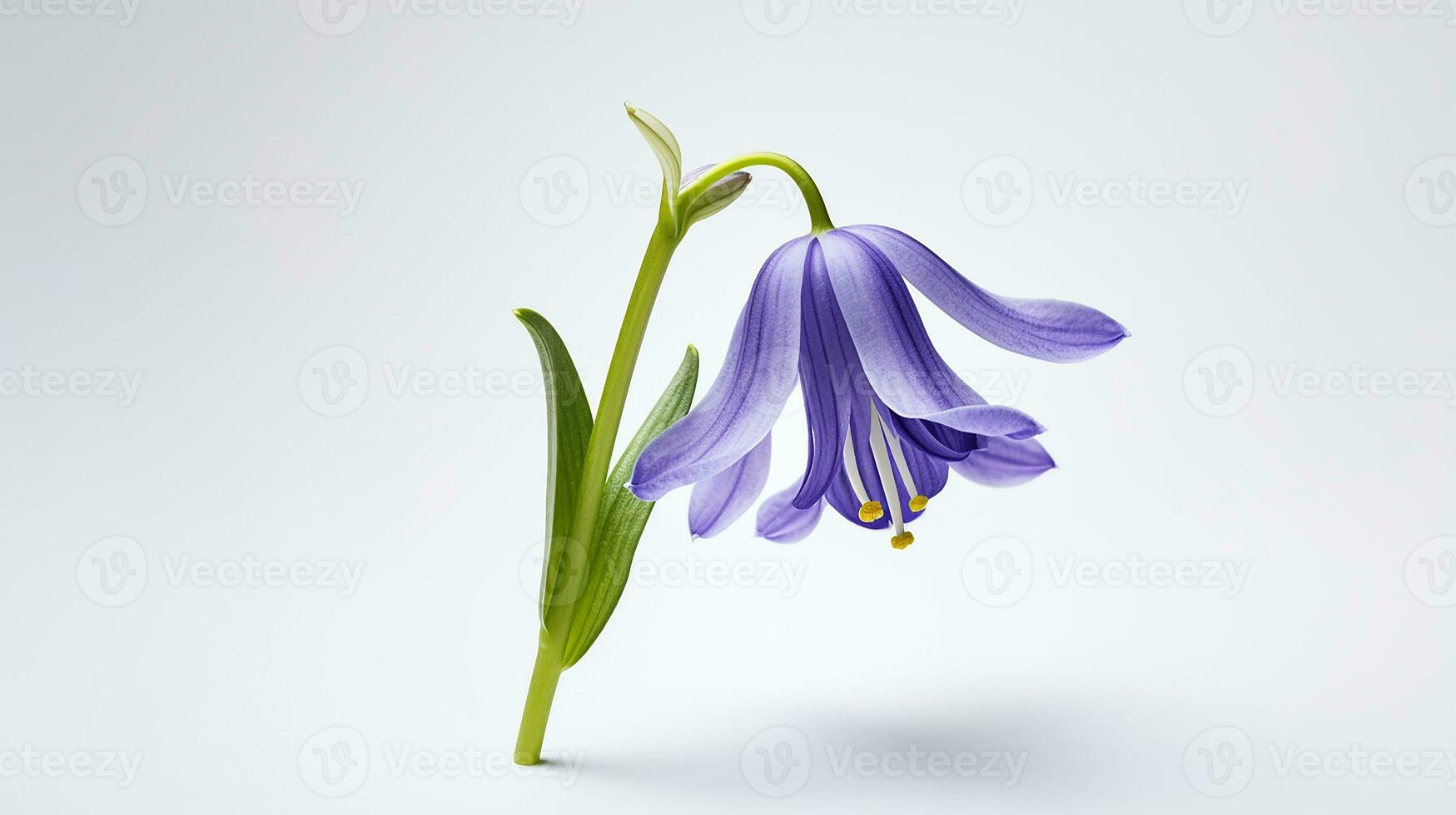 Photo of beautiful Bluebell flower isolated on white background. Generative AI