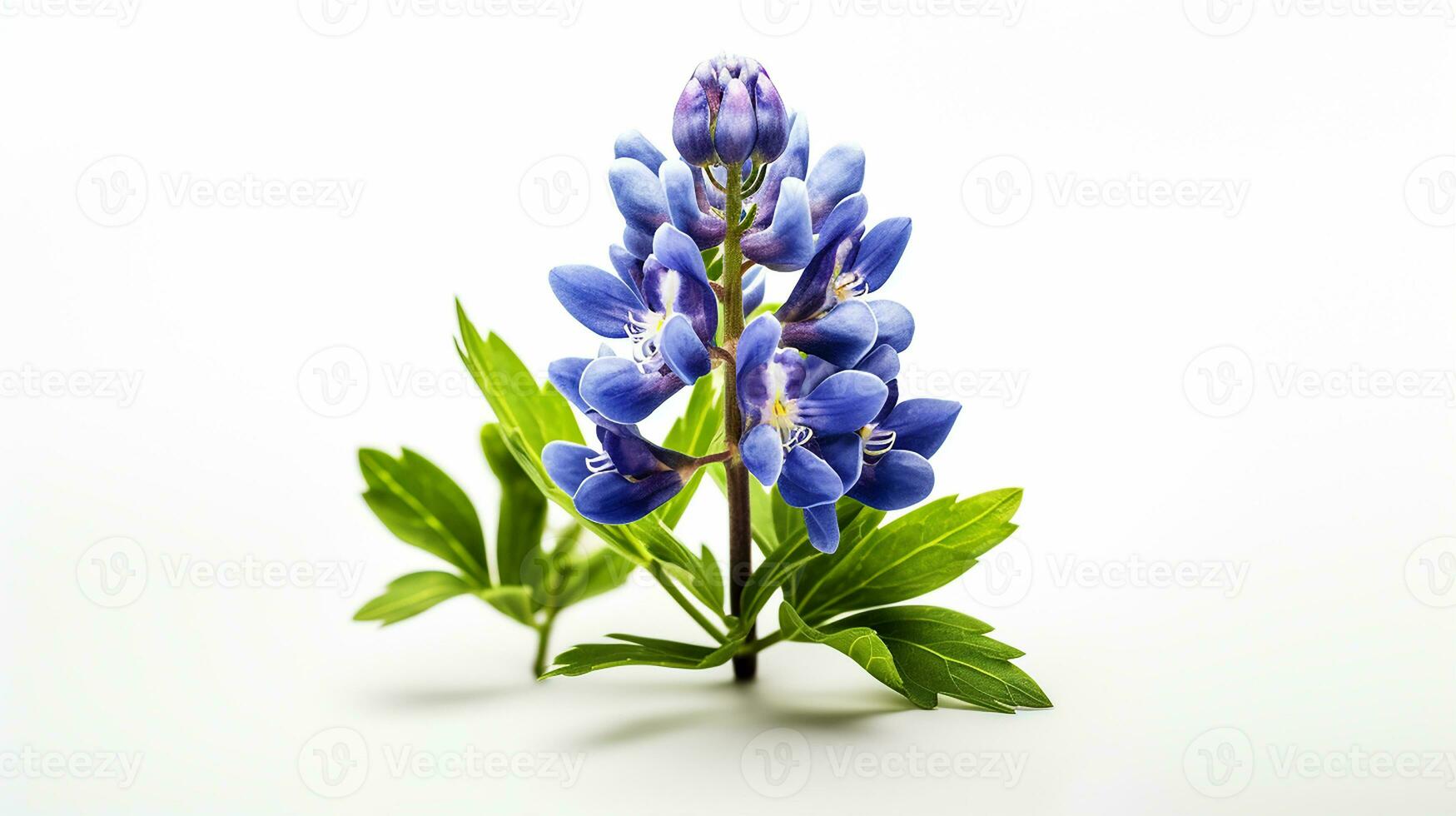 Photo of beautiful Bluebonnet flower isolated on white background. Generative AI