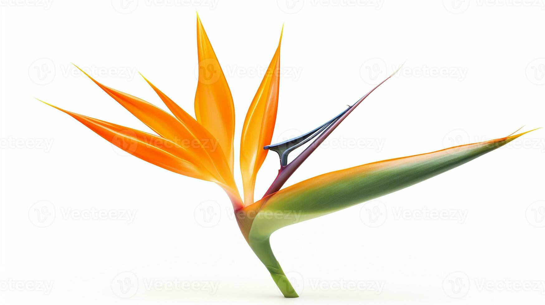 Photo of beautiful Bird of Paradise flower isolated on white background. Generative AI