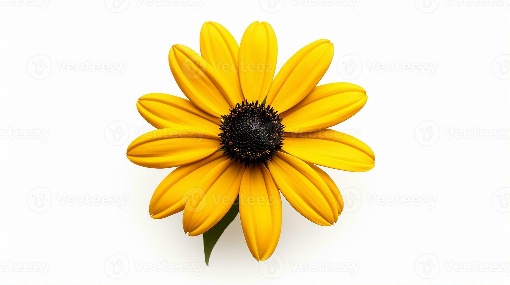 Photo of beautiful Black-Eyed Susan flower isolated on white background. Generative AI