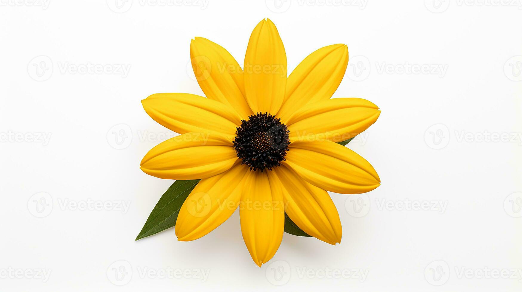 Photo of beautiful Black-Eyed Susan flower isolated on white background. Generative AI