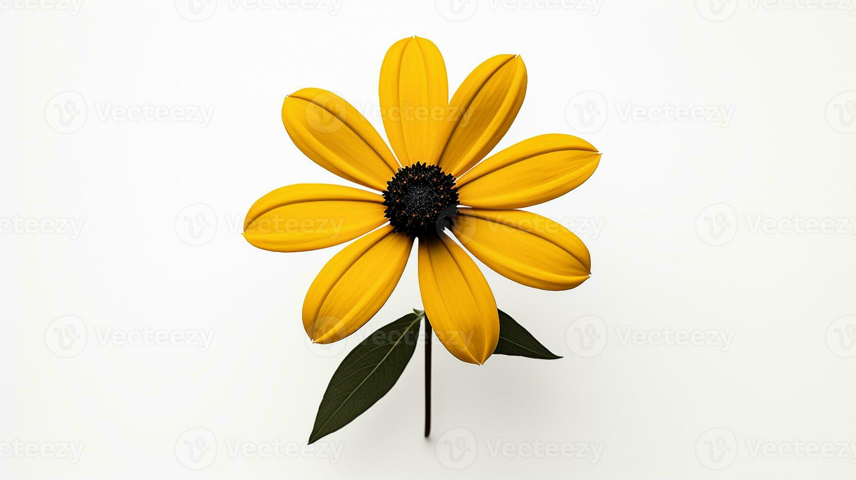 Photo of beautiful Black-Eyed Susan flower isolated on white background. Generative AI