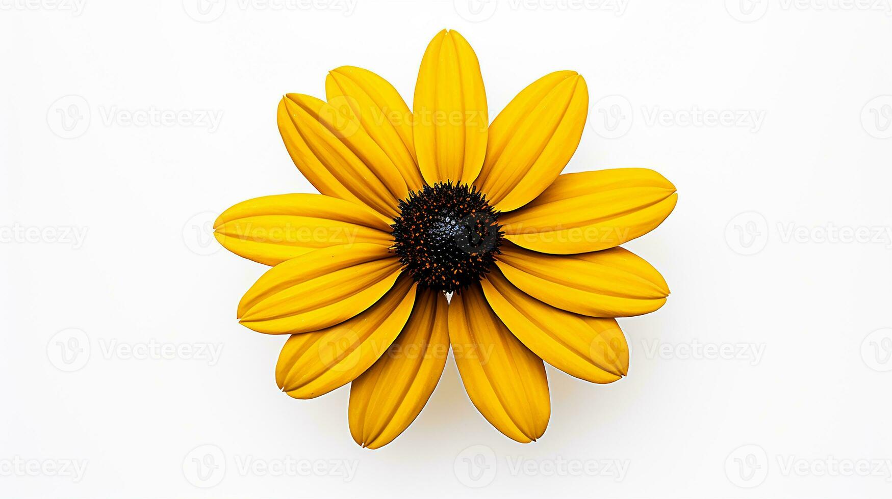 Photo of beautiful Black-Eyed Susan flower isolated on white background. Generative AI