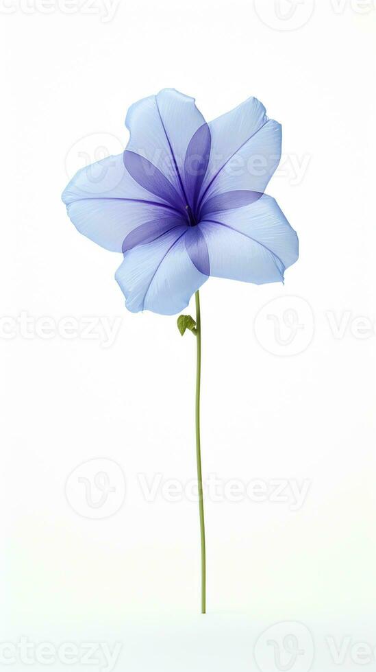 foto de hermosa globo flor aislado en blanco antecedentes. generativo ai