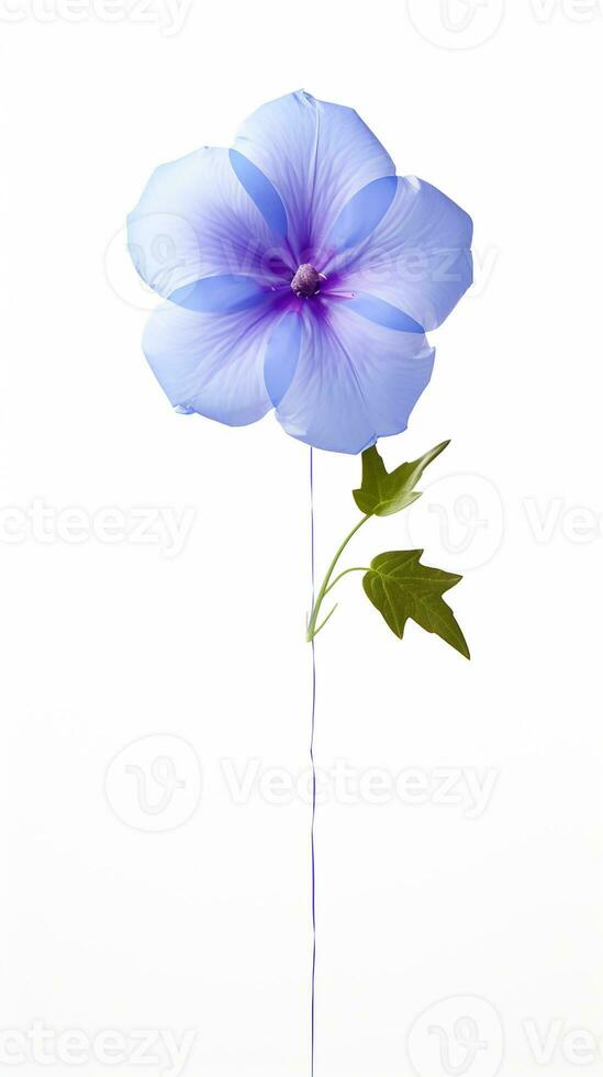 Photo of beautiful Balloon flower isolated on white background. Generative AI