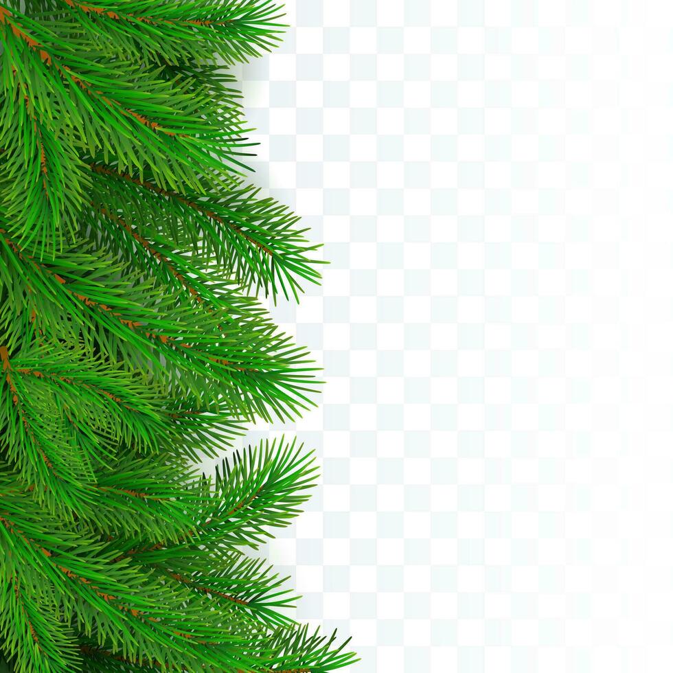 Fir tree border background. Christmas tree brancher. Realistic New Year seasonal decorations. Vector illustration