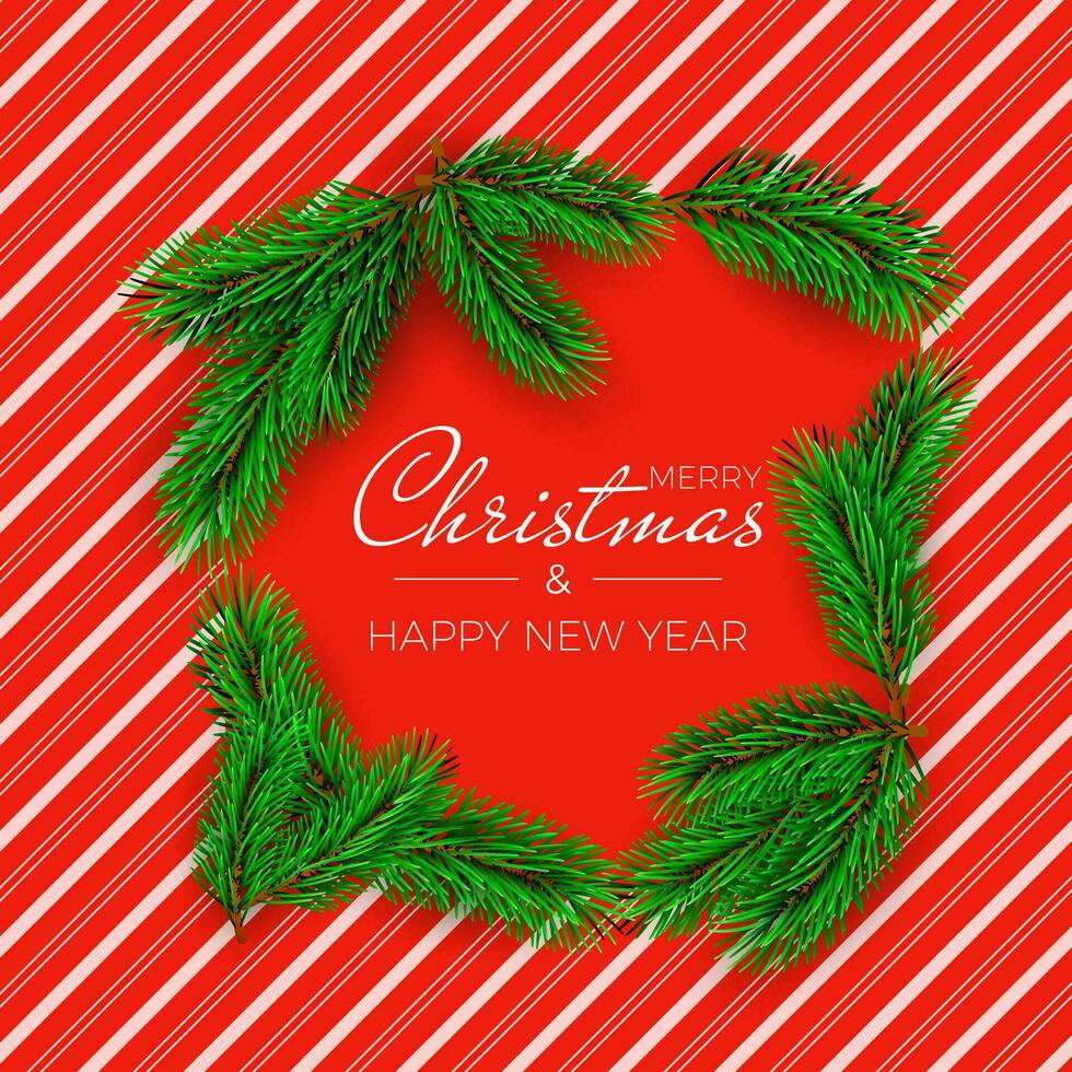 Christmas tree branches on red candy background with white stripes. New Year decoration elements. Vector illustration