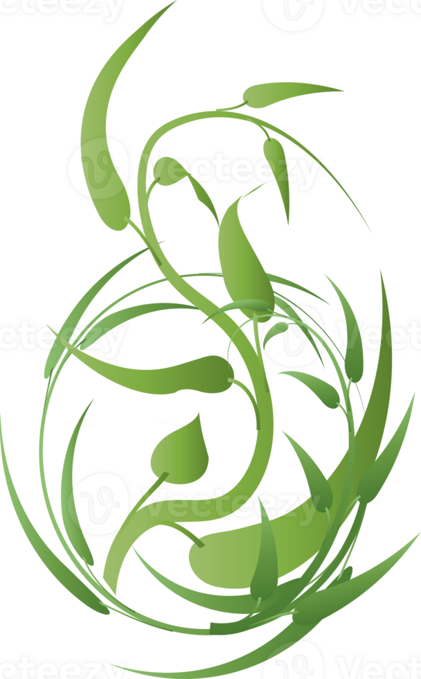 botanisch Blatt ästhetisch Laub Pflanze zum dekorativ abstrakt Hintergrund png