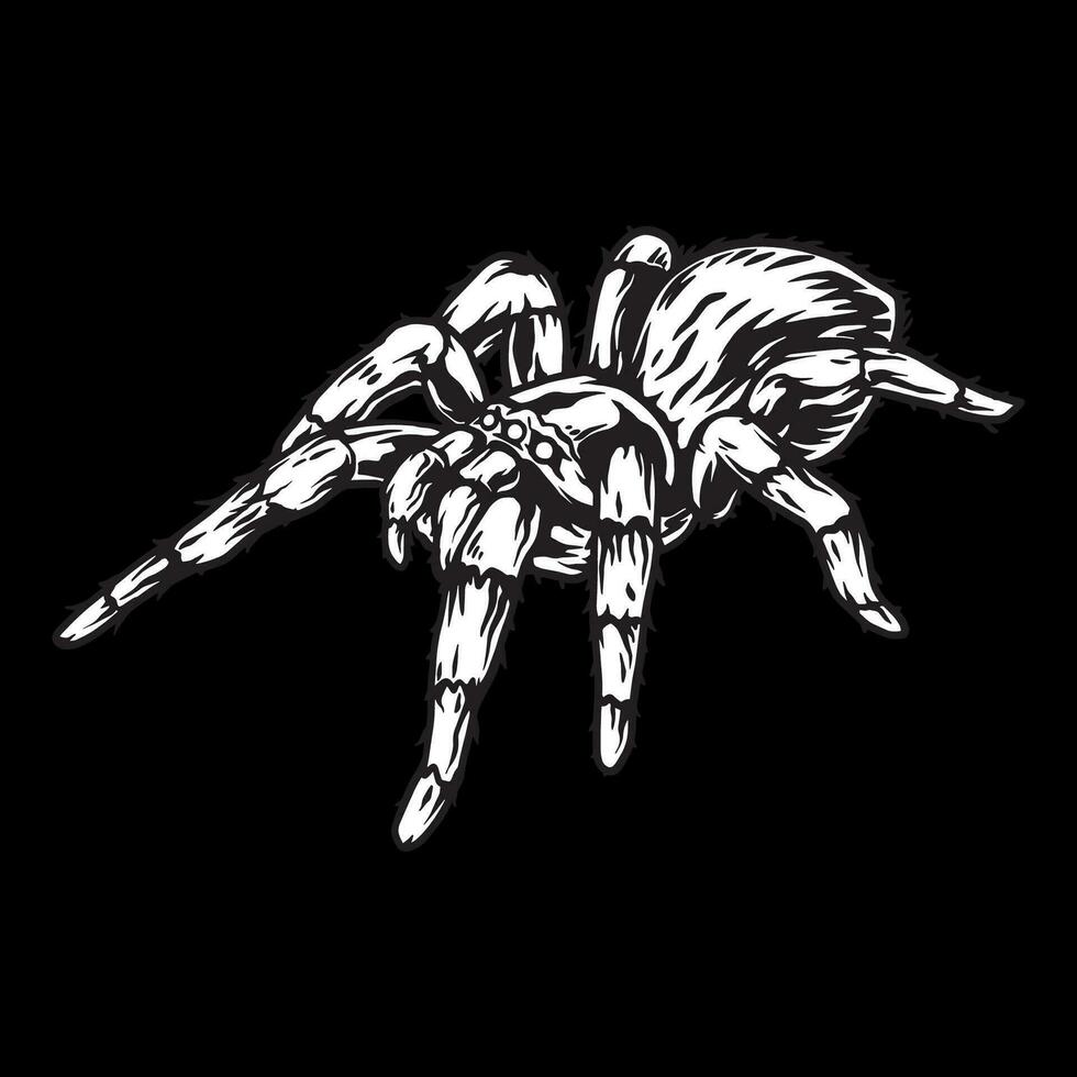 tarántula araña vector Arte