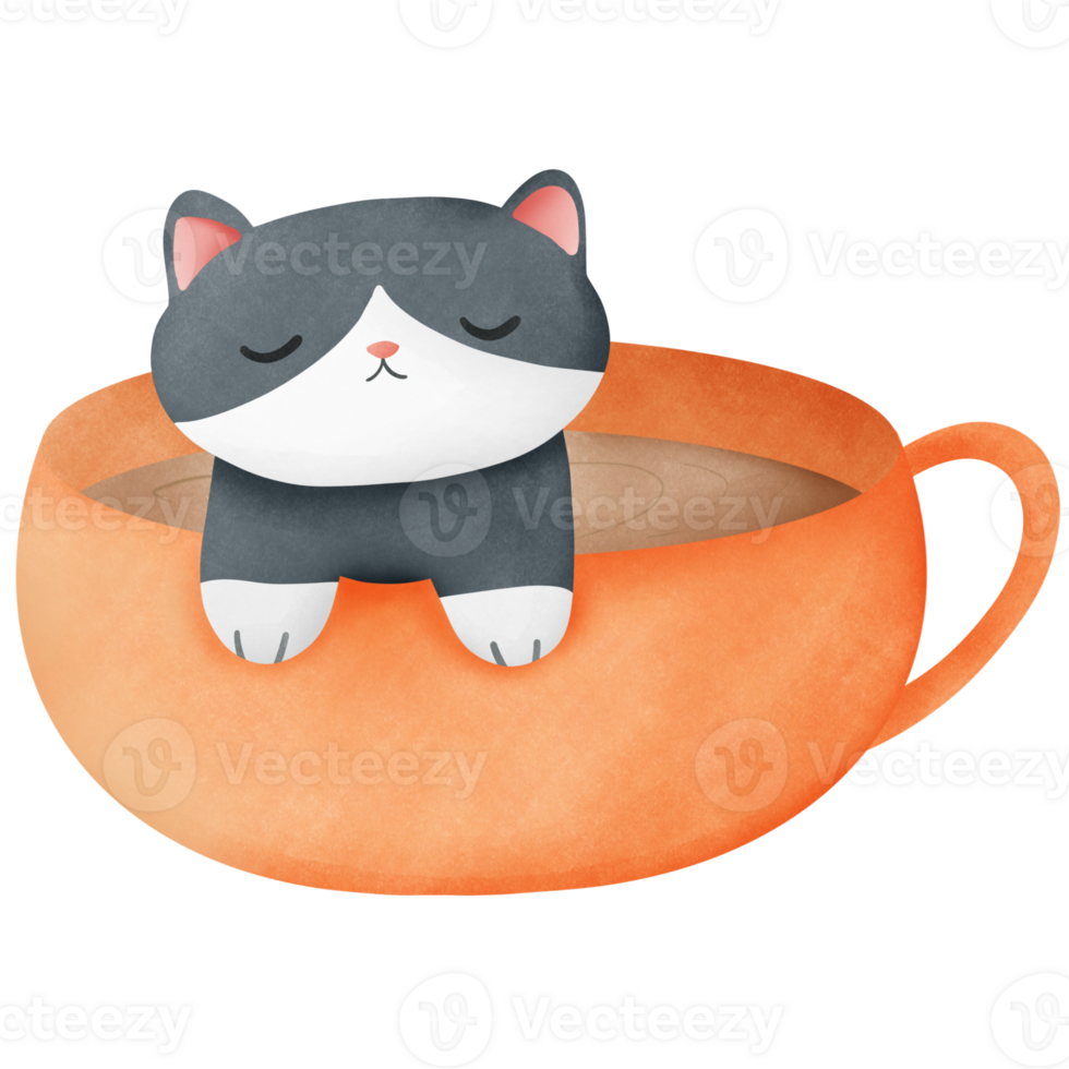 Cat is on orange cup png