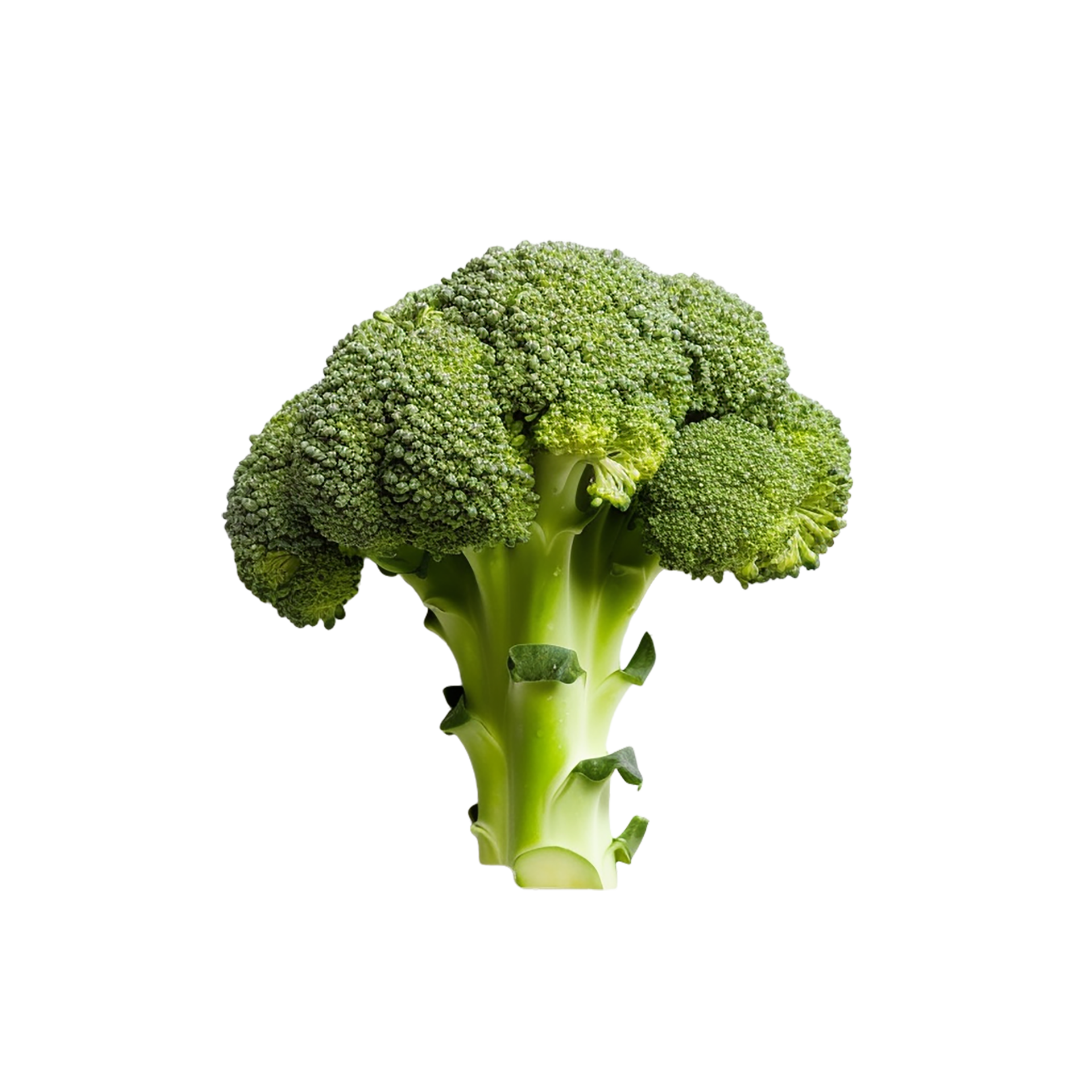 Broccoli, Broccoli Png, Broccoli Transparent Background, AI Generated