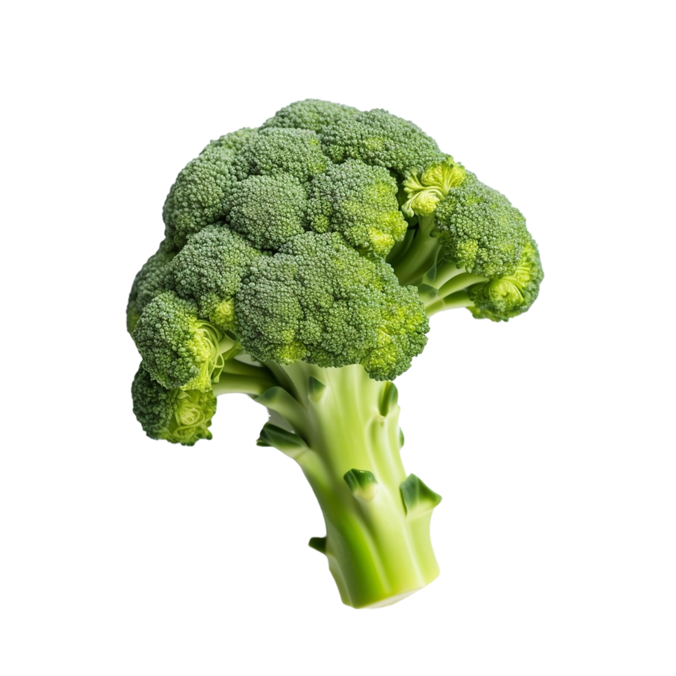 broccoli, broccoli png, broccoli transparent bakgrund, ai genererad png