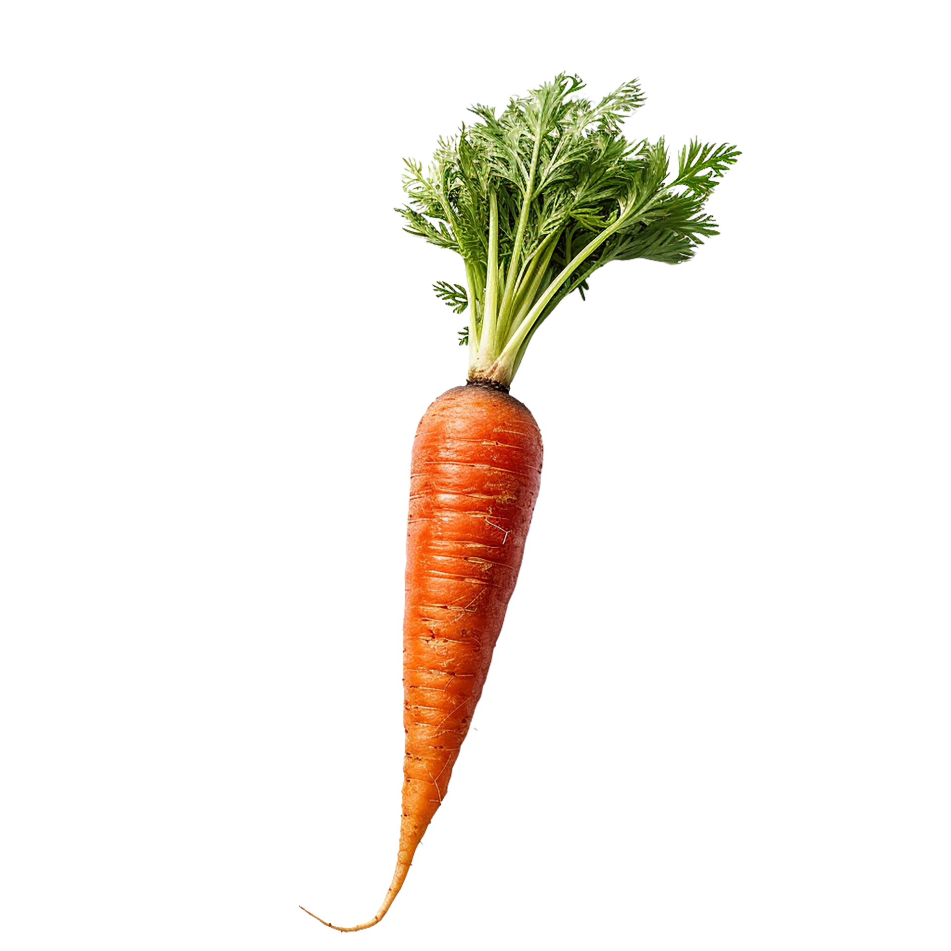 Red Carrot, Red Carrot Png, Transparent Background, AI Generated