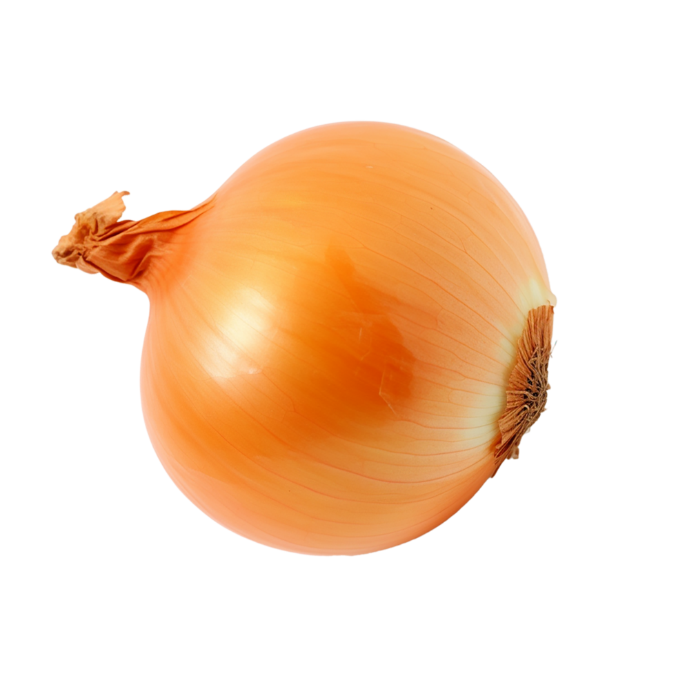 Zwiebel, Zwiebel png, transparent Hintergrund, ai generiert png