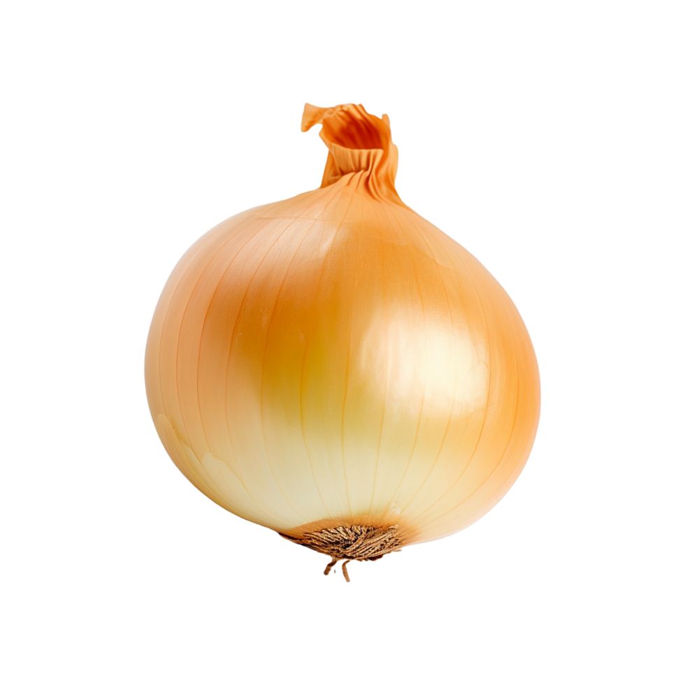 Onion, Onion Png, Transparent Background, AI Generated 27216325 PNG