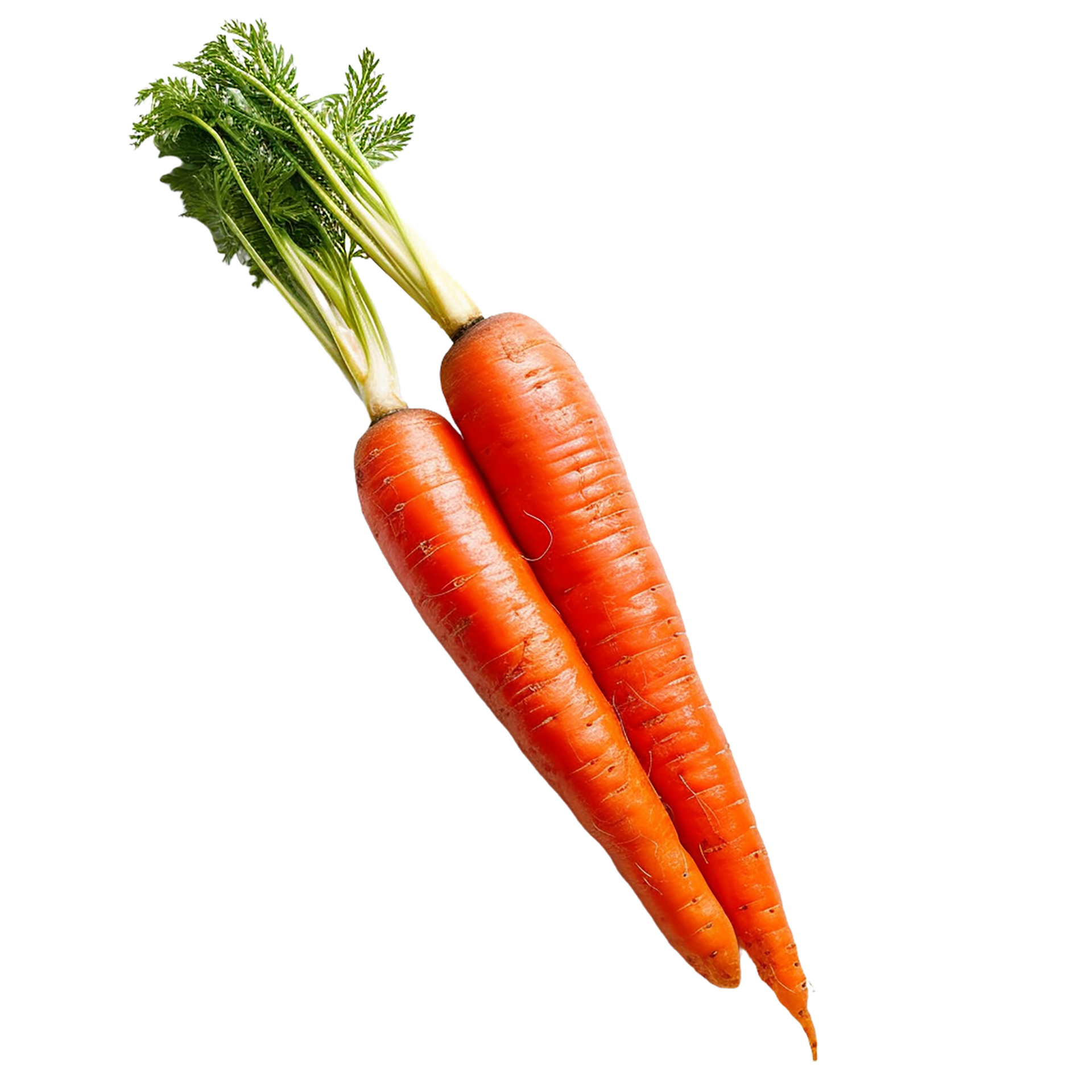 Carrots Png