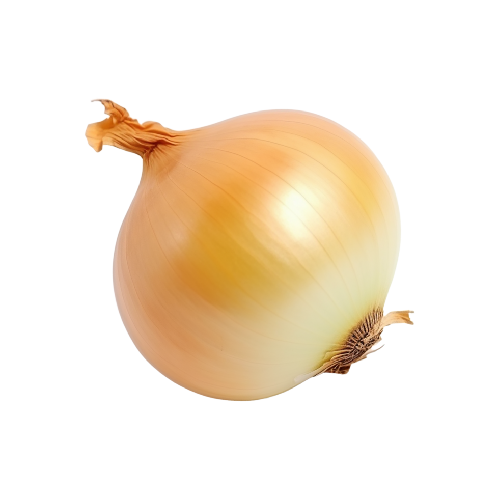 Zwiebel, Zwiebel png, transparent Hintergrund, ai generiert 27216344 PNG