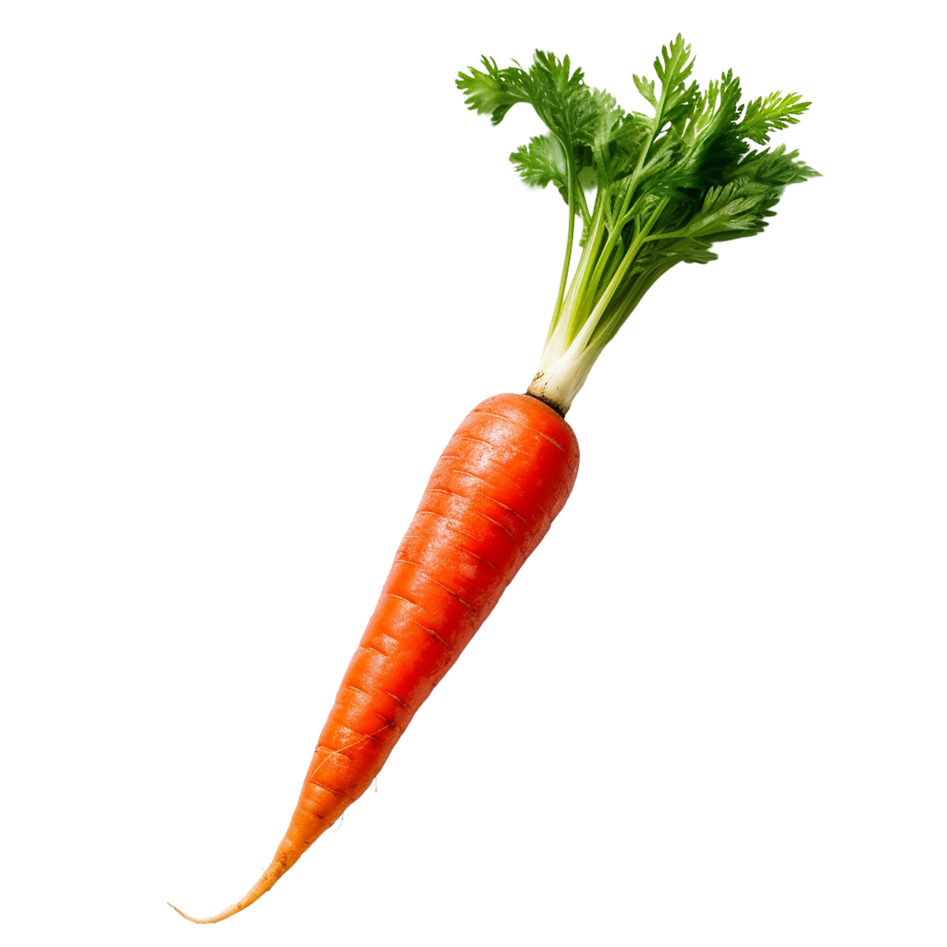 Red Carrot, Red Carrot Png, Transparent Background, AI Generated