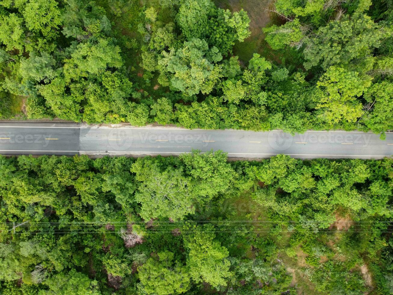 aéreo fotografía, verde bosque con la carretera foto